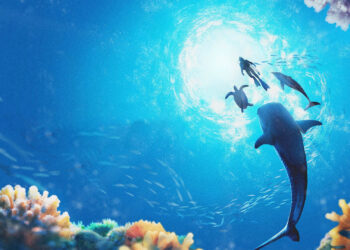 Análisis de Endless Ocean Luminous