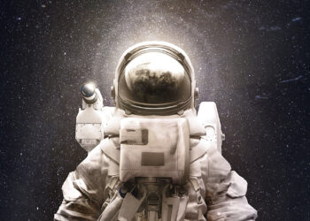 Vista previa de The Crust